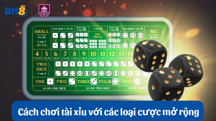 Cách chơi tài xỉu với các loại cược mở rộng